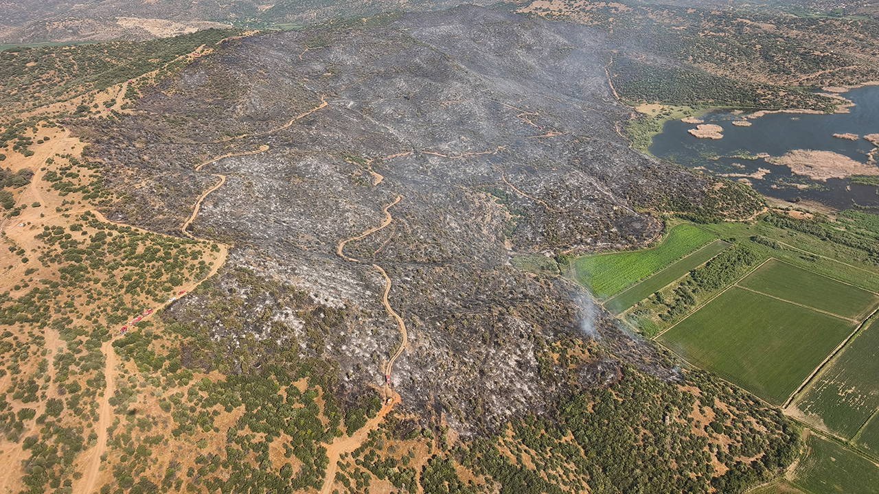 Aydın Söke'de çıkan 5 yangın kontrol altına alındı: 150 hektar ziraat alanı zarar gördü