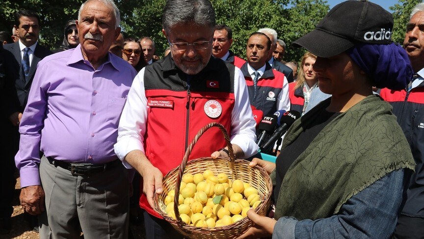 Bakan Yumaklı: Geçen yıl zirai dondan etkilenen Malatya'da bu sene bereketli hasattan sonra üretimimize kavuşacağız