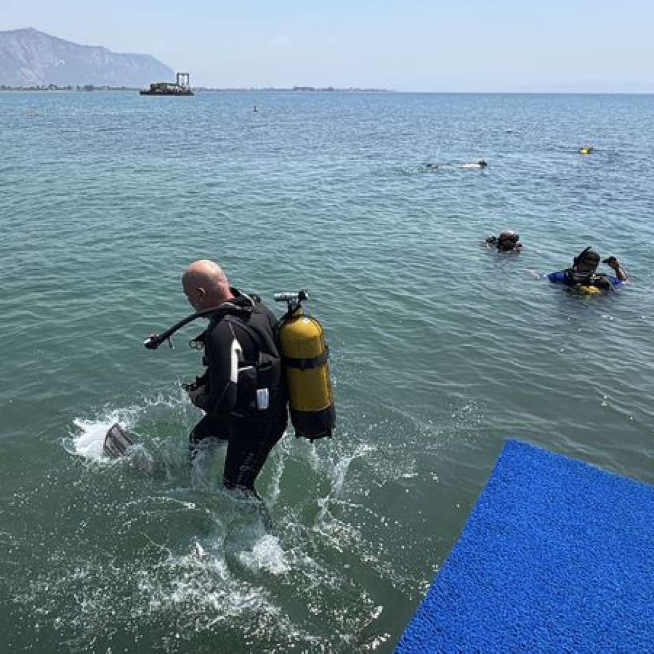 Muğla'nın Milas kıyılarında deniz çayırları projesi sonuclarını açıklandı