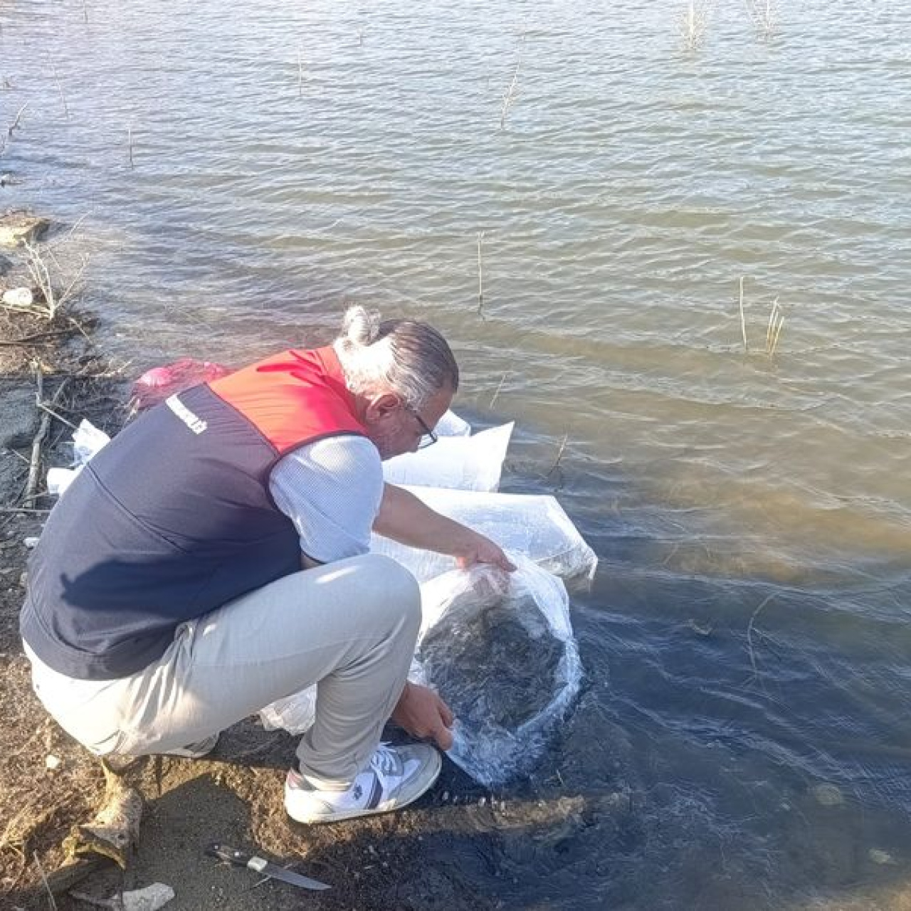 Göletlere 80 Bin Yavru Balık Salındı