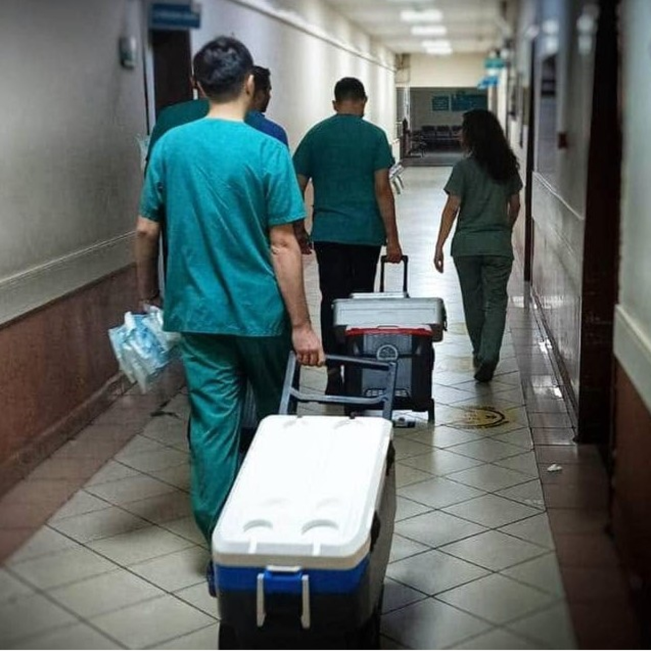 Organ bağışı için 143 bin 887 dijital vasiyet